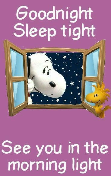 Pin by Mary Whitfield on NighttimeEvening InspirationsQuotes  Goodnight  snoopy Snoopy wallpaper Snoopy funny