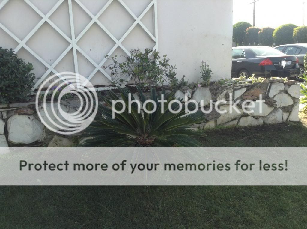 http://i1294.photobucket.com/albums/b601/lakerhater1/photo15_zpse8747278.jpg