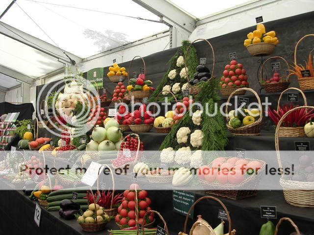 http://i27.photobucket.com/albums/c186/DavidKnapper/Shrewsbury/DSCN0432.jpg