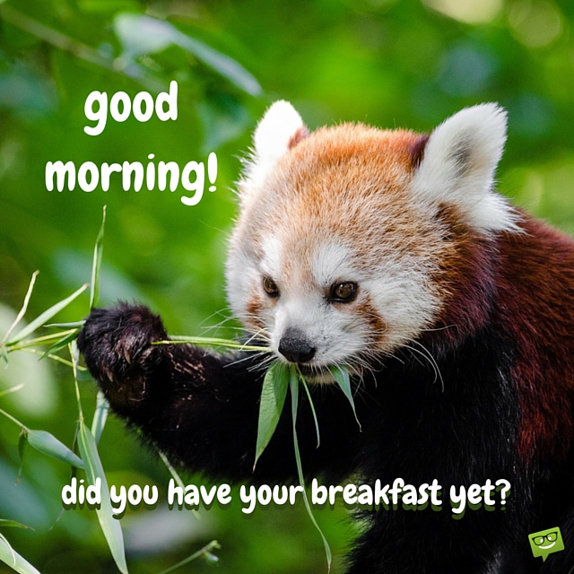 Good Morning  Did You Have Your Breakfast Yet