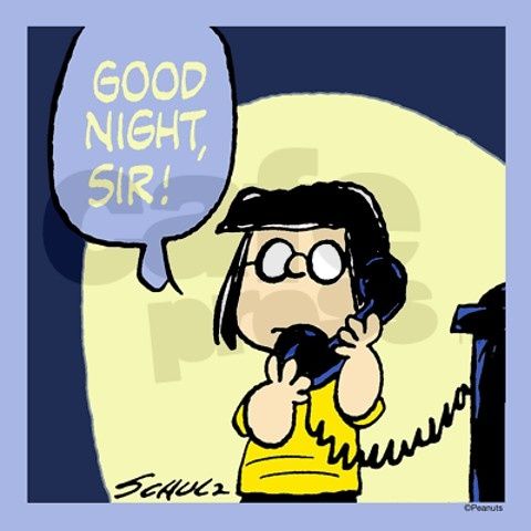 Good Night Sir   Peanuts gang Charlie brown and snoopy Snoopy love