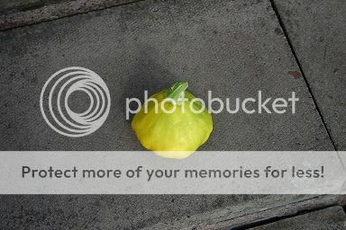 http://i377.photobucket.com/albums/oo217/minisniperthefirst/IMG_1198.jpg