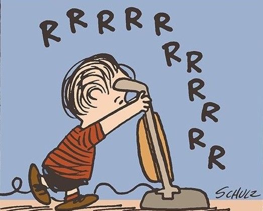 Vacuuming  Cleaning house  Peanuts charlie brown snoopy Snoopy love Charlie  brown and snoopy
