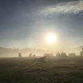 frensclan