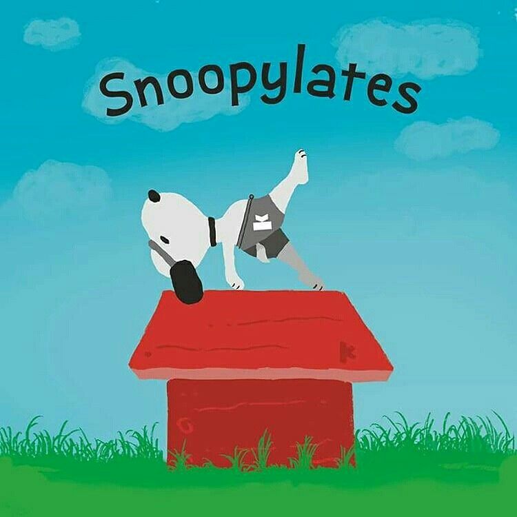 Snoopy pilatero - pilates lovepilates   Immagini yoga Immagini  divertenti Pilates