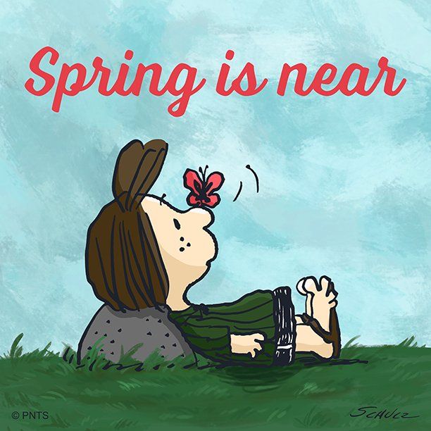 Spring  Snoopy love Snoopy quotes Peanuts gang