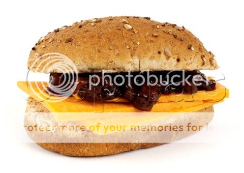 http://i1143.photobucket.com/albums/n627/thedogcody/1212752_Granary_roll_with_red_leice.jpg