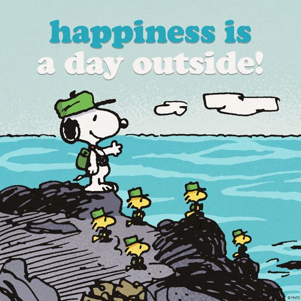 PEANUTS on Twitter  Snoopy pictures Snoopy and woodstock Snoopy love