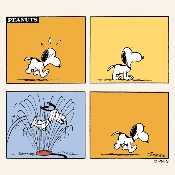 Snoopy  Snoopy comics Snoopy love Charlie brown and snoopy