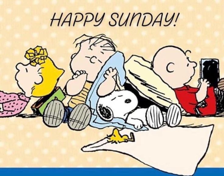 Pin by Debbie Shepherd on Snoopy  Snoopy quotes Snoopy cartoon Happy  sunday