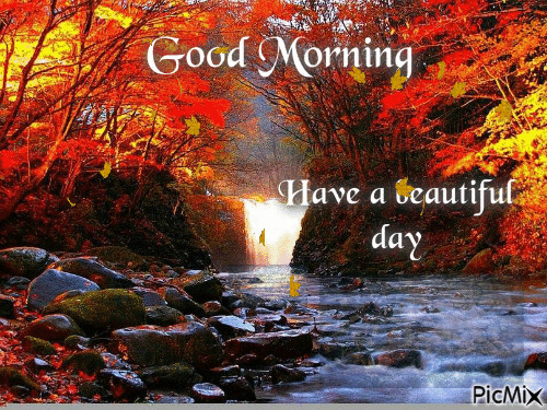 Image result for Beautiful Autumn morning images