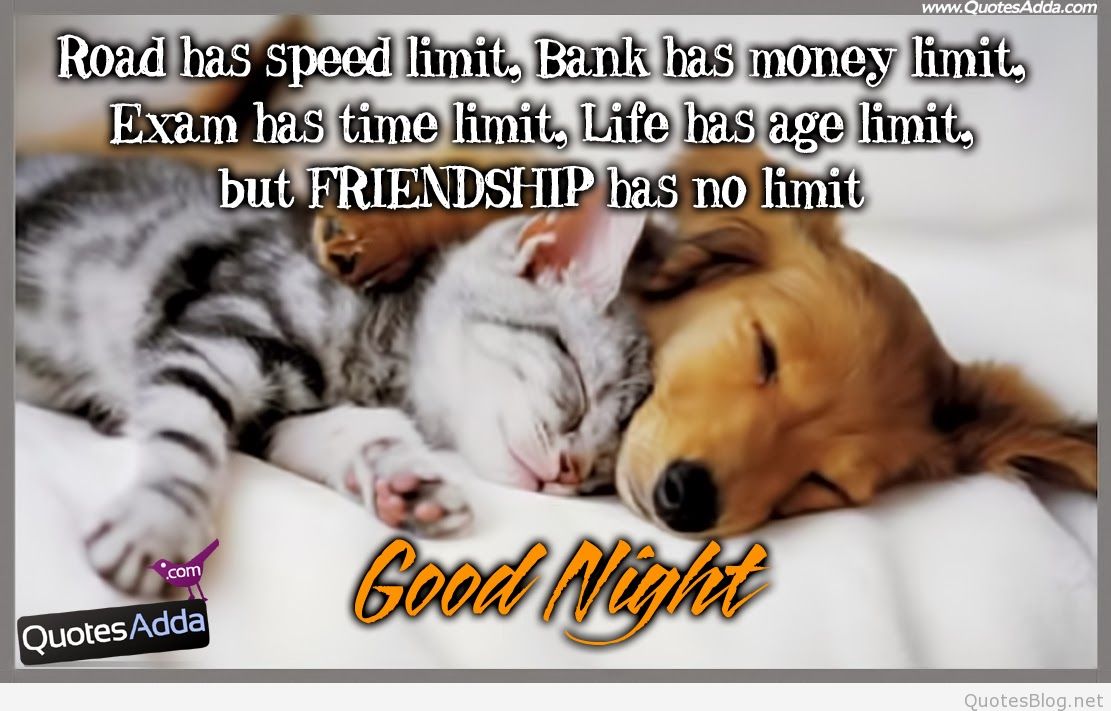 Quotes about Girls Night 58 quotes