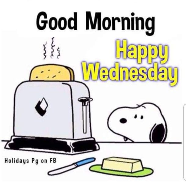 10 Wednesday Snoopy Quotes  Pictures  Good morning snoopy Snoopy quotes  Good morning happy