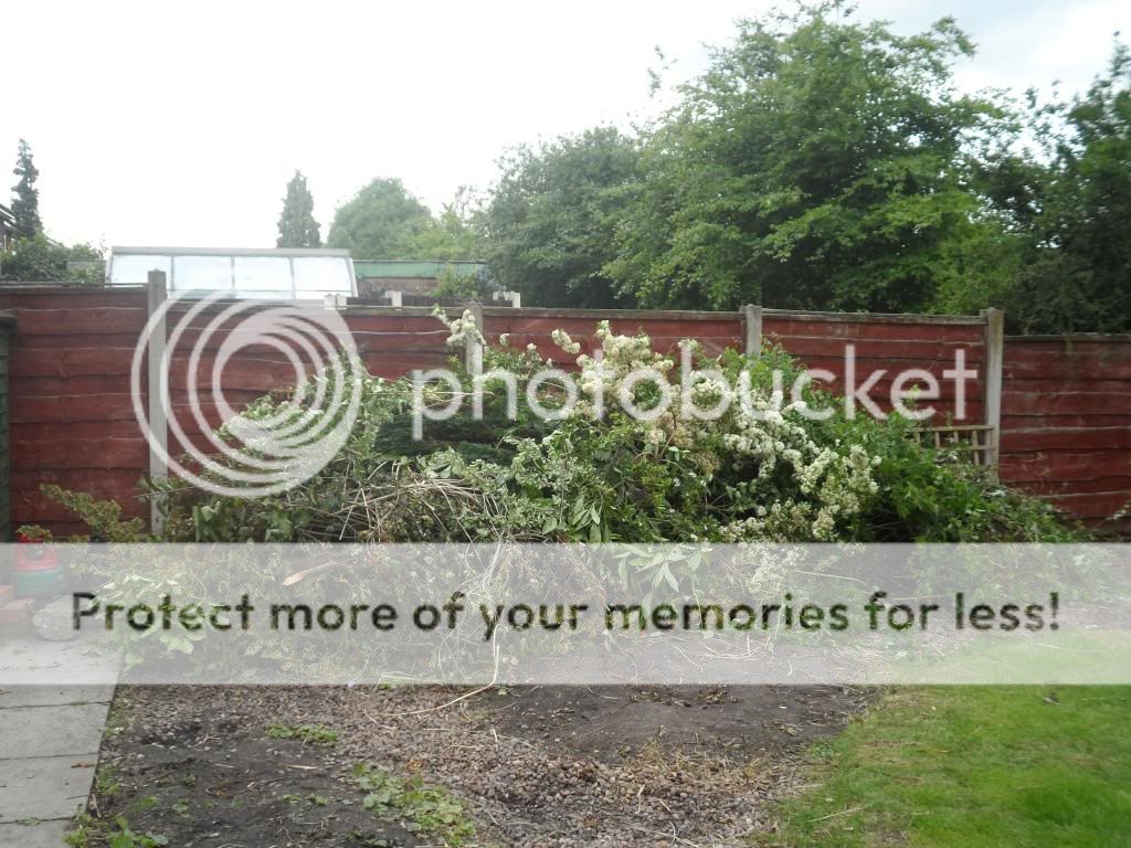 http://i1316.photobucket.com/albums/t612/toast_movg/11_zps76627340.jpg