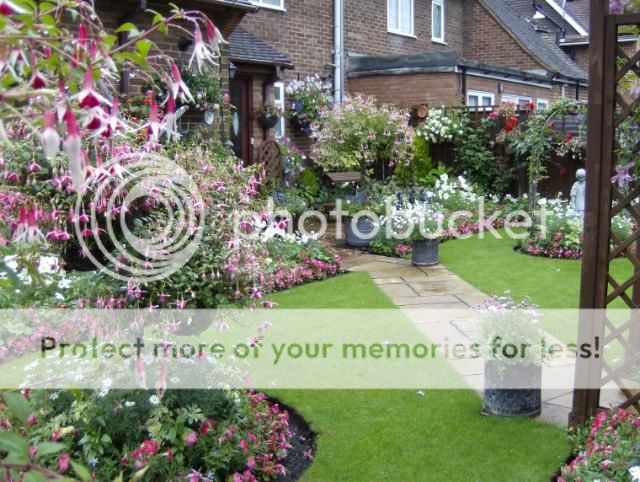 http://i1131.photobucket.com/albums/m551/lilylouise1/frontgarden012.jpg