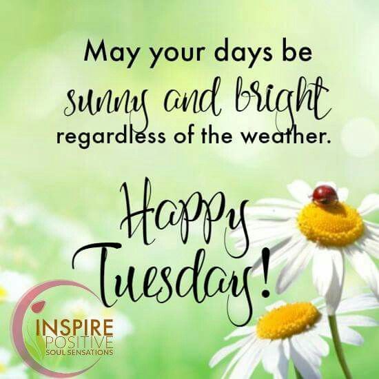 Happy Tuesday  Happy tuesday morning Happy tuesday quotes Tuesday quotes  good morning