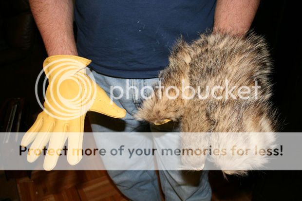 http://i1143.photobucket.com/albums/n627/thedogcody/F9OLTOAFB10TGM2.jpg