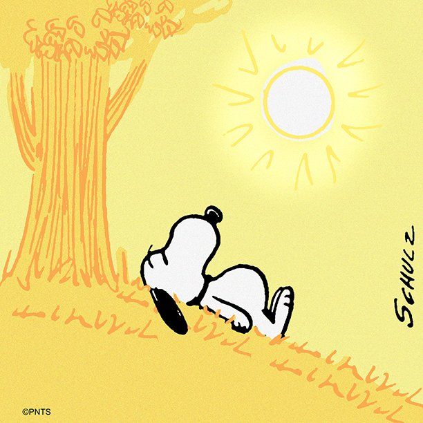 PEANUTS on Twitter  Snoopy wallpaper Snoopy Snoopy pictures