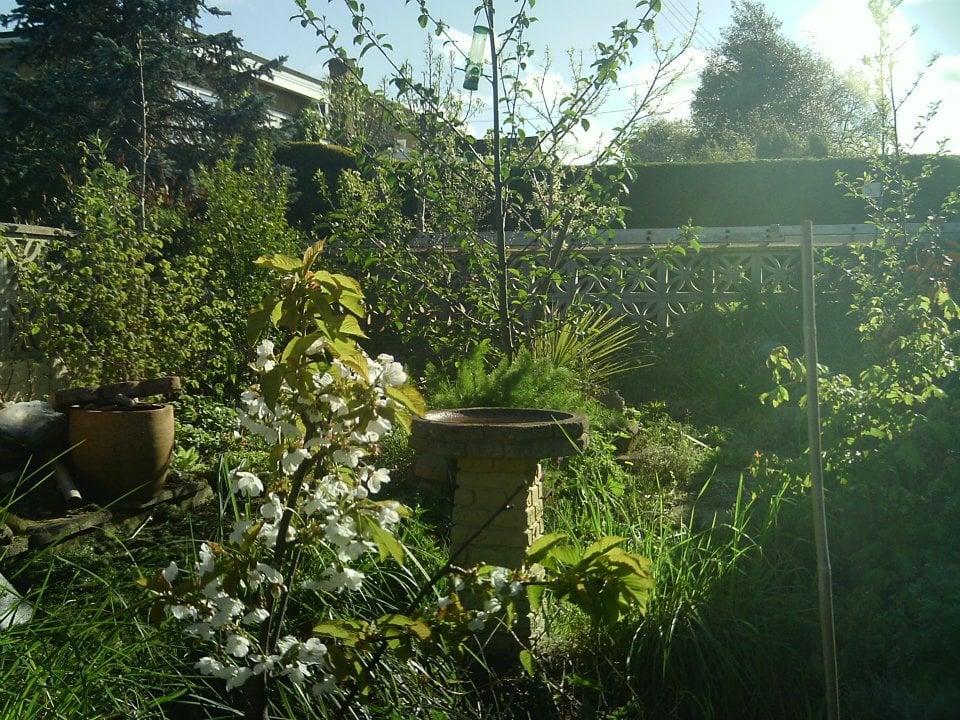 Natural Way Permaculture