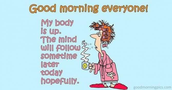Funny image - Good morning everyone  goodmorningpicscom