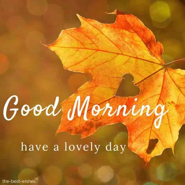 150 Fresh  Beautiful Good Morning Images with Nature  Good morning  thursday Good morning monday images Good morning greetings