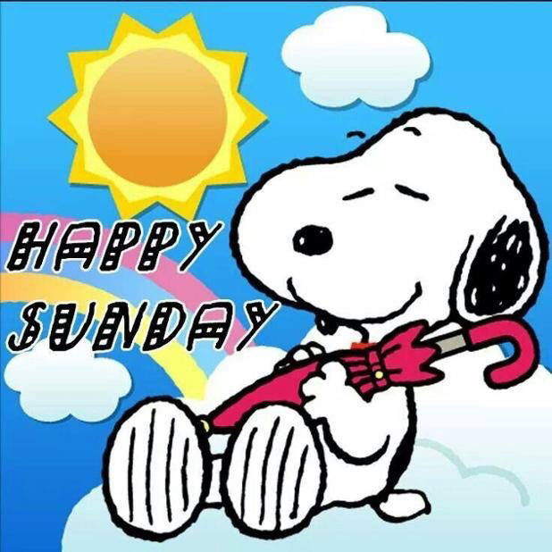 Descobrir 66 imagem happy sunday snoopy - brthptnganamsteduvn