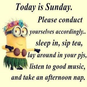 60 Funny Sunday Quotes with Images for the Weekend  Sunday quotes