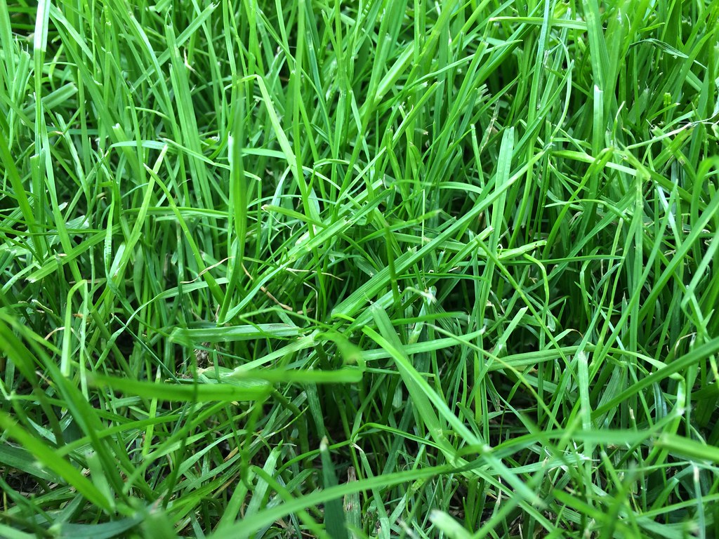 https://farm4.staticflickr.com/3891/14327389417_cd32266a37_b.jpg