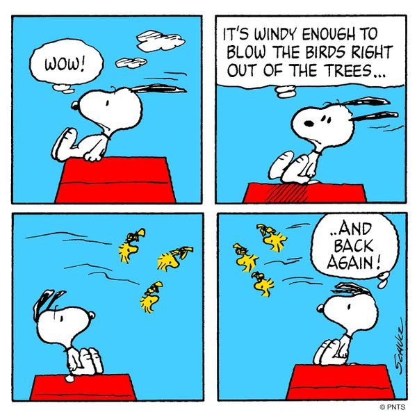 Twitter  Snoopy cartoon Snoopy comics Charlie brown and snoopy
