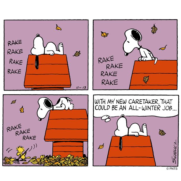 Thursday with Snoopy and Woodstock  Snoopy funny Snoopy comics Snoopy  and woodstock