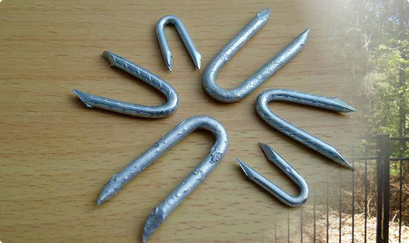 http://www.fencestaple.com/images/fence-staple-7.jpg