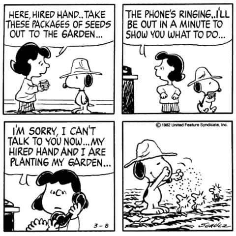 Pin by Tammy Cole on Snoopy and Gang  Snoopy funny Snoopy love Snoopy  comics