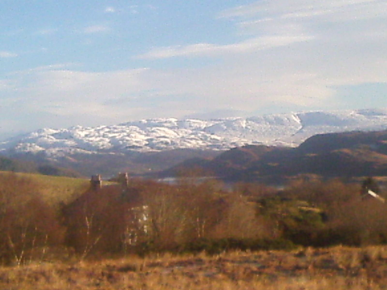 freelander 56