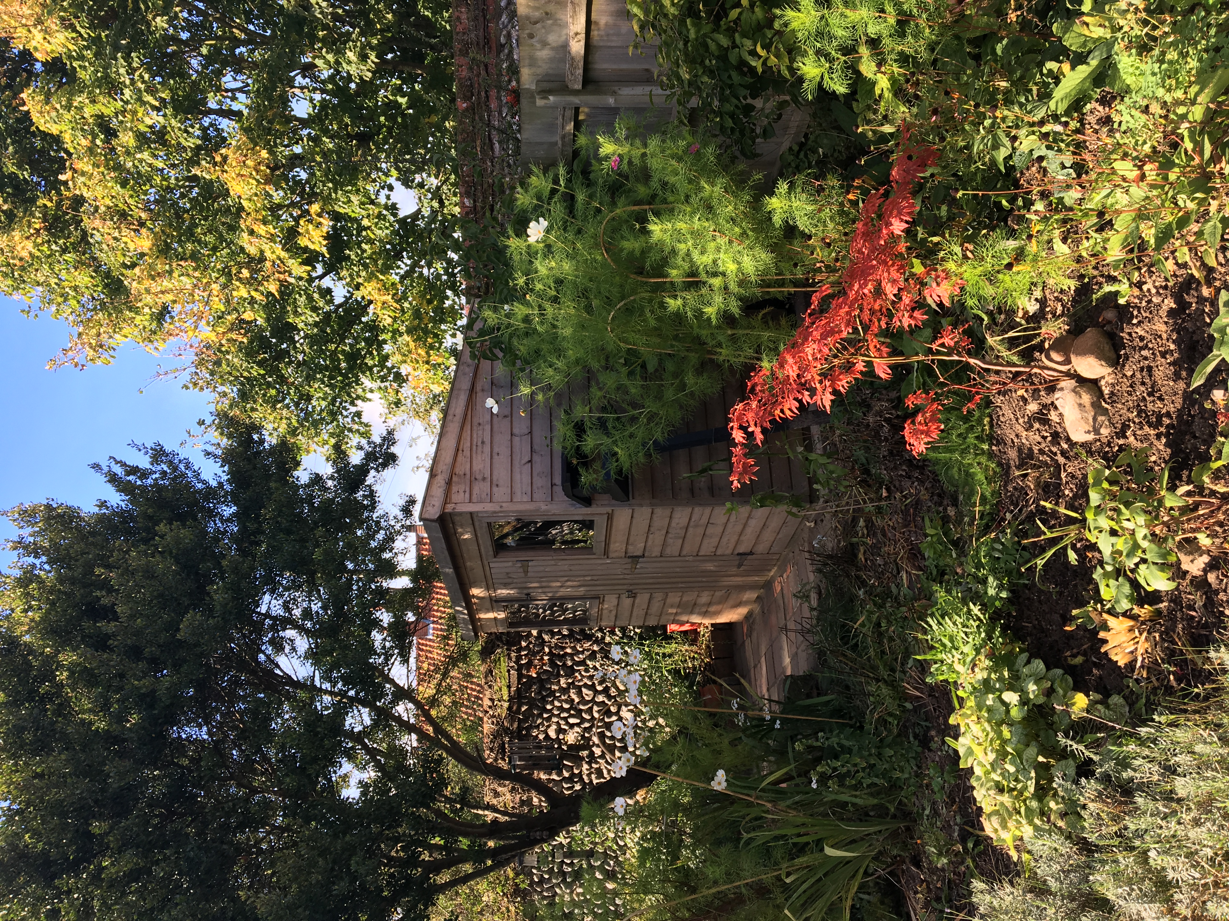 Simon Bell cottage