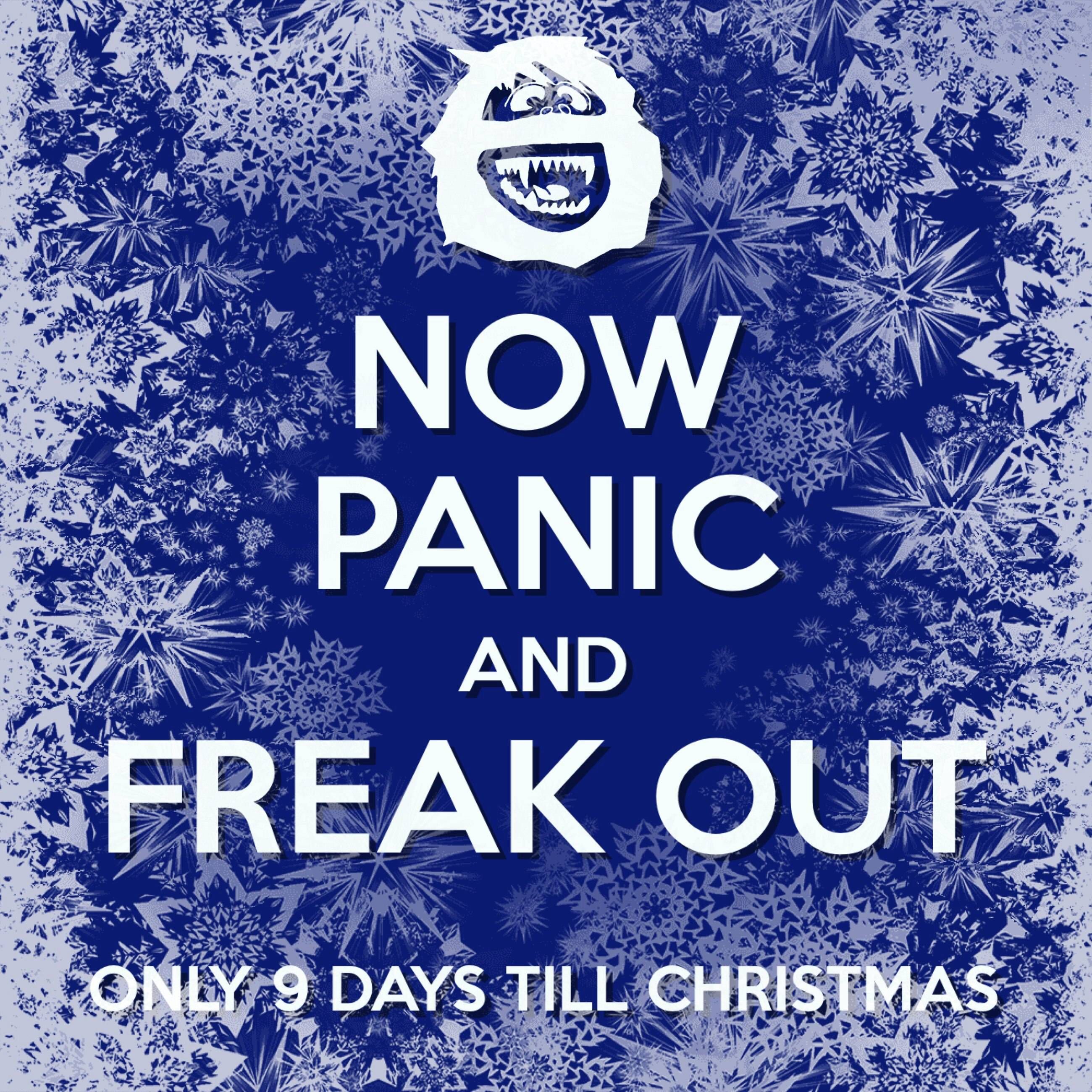 Image result for 9 days until christmas images