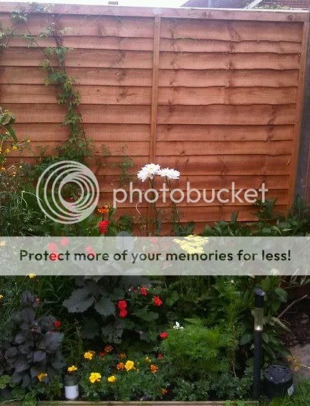 http://i1048.photobucket.com/albums/s373/leggi2/Garden2012.jpg