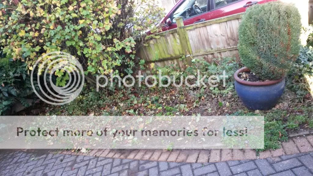 http://i819.photobucket.com/albums/zz113/LadyClarington/20141109_102349_zpsdbonhjfv.jpg