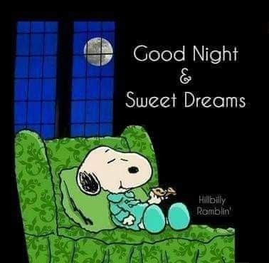 Pin by Diana June on snoopy and the gang 5   Goodnight snoopy Good night  sweet dreams Good night