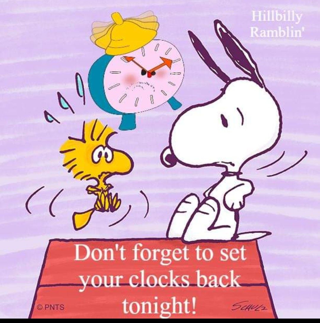 Pin by Susan Hornyak Woods on Snoopy  Goodnight snoopy Snoopy birthday  Snoopy pictures