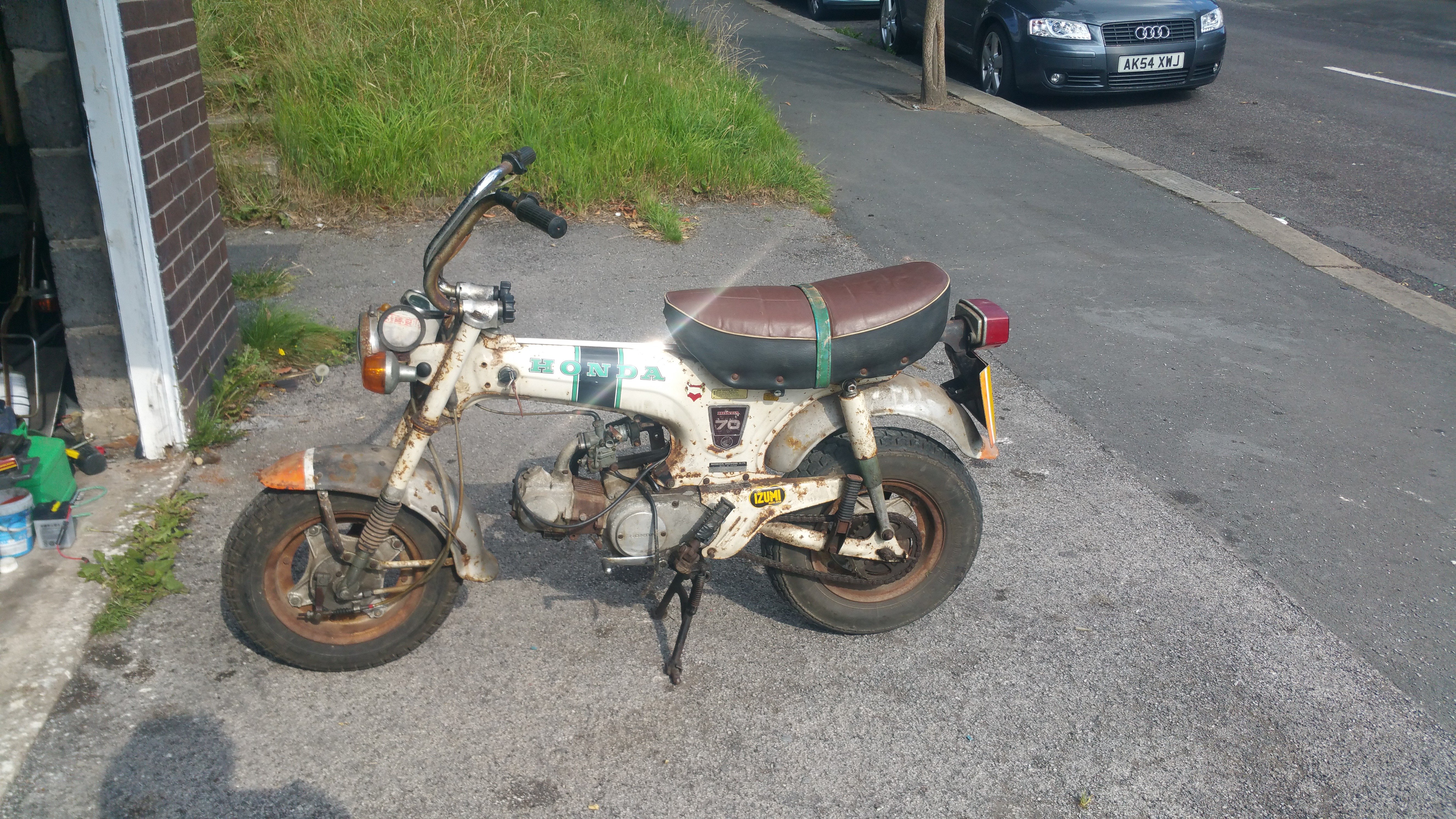 Monkey12