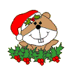 http://i1143.photobucket.com/albums/n627/thedogcody/christmas%20animations/CRISMA35181817171817171721171717.gif