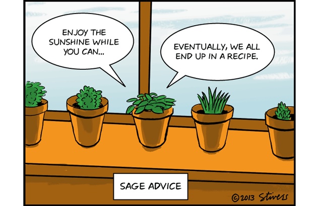 Sage Advice  Plant jokes Plant puns Science humor