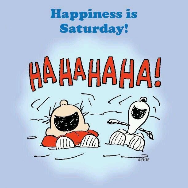 Happiness is Saturday  Funny saturday memes Saturday memes Snoopy funny
