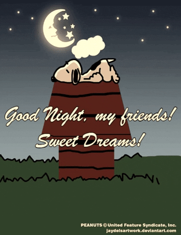 Snoopy Good Night my friends Sweet Dreams  Good night sweet dreams Good  night my friend Good night greetings