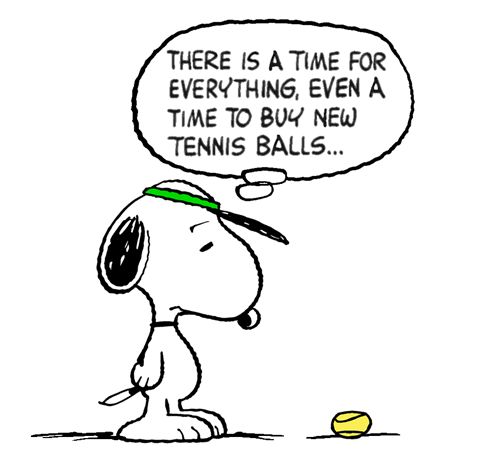 Snoopy and the Worn Out Tennis Ball  Snoopy funny Snoopy images Snoopy