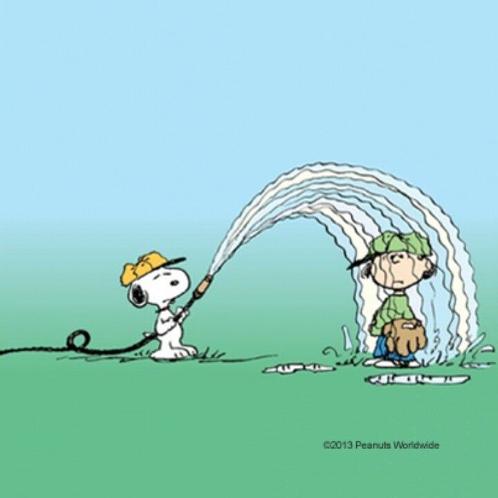 Snoopy raining out side  Snoopy love Peanuts snoopy woodstock Snoopy