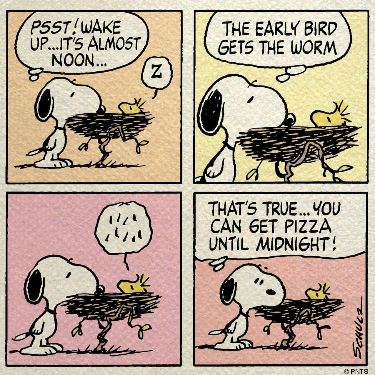 Pin by Marcie on SNOOPY One of my favorite things  Snoopy comics Snoopy  love Snoopy cartoon