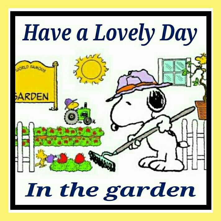 Just Pottering around on a Lovely Sunny Day  with the Cats  And a  Nice cold Drink   Charlie brown and snoopy Peanuts gang Snoopy