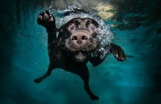 Watery