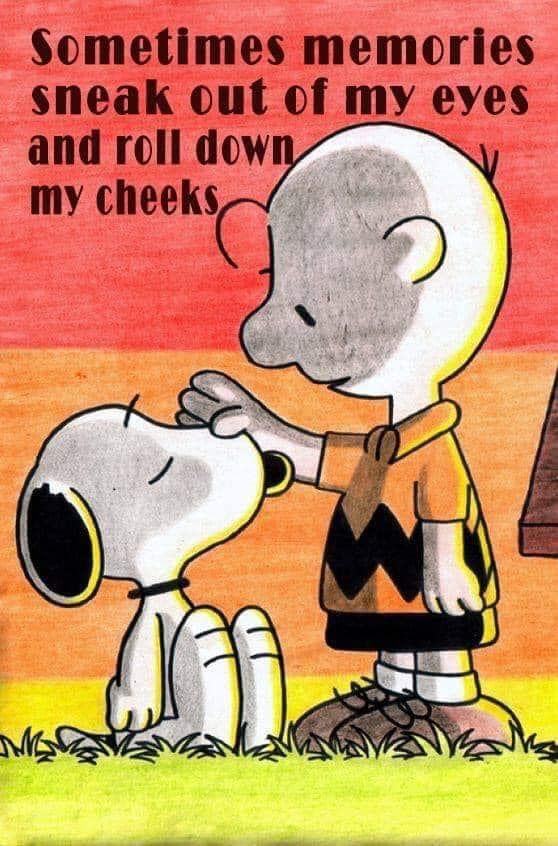 Memory  Snoopy quotes Snoopy love Snoopy pictures